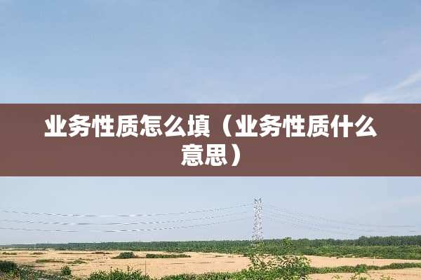 业务性质怎么填(业务性质什么意思) 业务性质怎么填(业务性质什么意思)