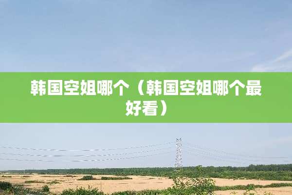 韩国空姐哪个（韩国空姐哪个最好看）