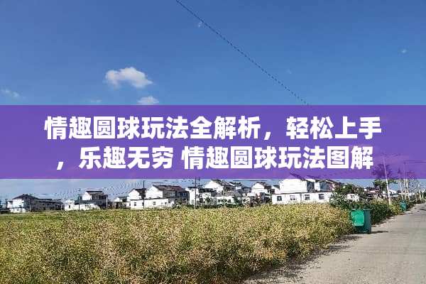 情趣圆球玩法全解析，轻松上手，乐趣无穷 情趣圆球玩法图解