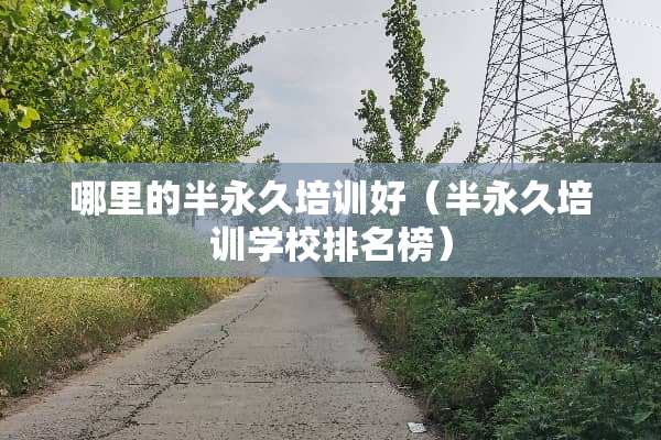 哪里的半永久培训好(半永久培训学校排名榜) 哪里的半永久培训好(半永久培训学校排名榜)