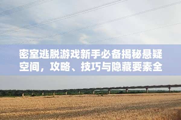 密室逃脱游戏新手必备揭秘悬疑空间,攻略、技巧与隐藏要素全解析 密室逃脱游戏沙龙攻略 密室逃脱游戏新手必备揭秘悬疑空间,攻略、技巧与隐藏要素全解析 密室逃脱游戏沙龙攻略
