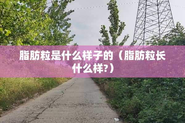 脂肪粒是什么样子的(脂肪粒长什么样?) 脂肪粒是什么样子的(脂肪粒长什么样?)