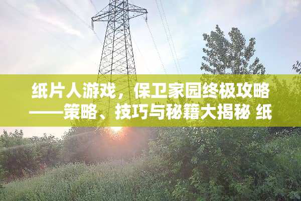 纸片人游戏,保卫家园终极攻略——策略、技巧与秘籍大揭秘 纸片人游戏保卫家园攻略 纸片人游戏,保卫家园终极攻略——策略、技巧与秘籍大揭秘 纸片人游戏保卫家园攻略