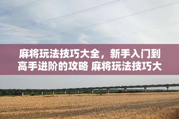 **玩法技巧大全，新手入门到高手进阶的攻略**玩法技巧大全