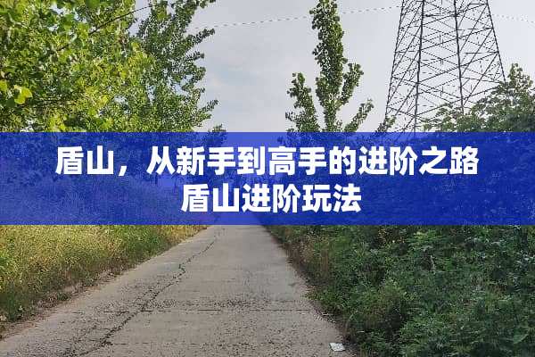 盾山,从新手到高手的进阶之路 盾山进阶玩法 盾山,从新手到高手的进阶之路 盾山进阶玩法