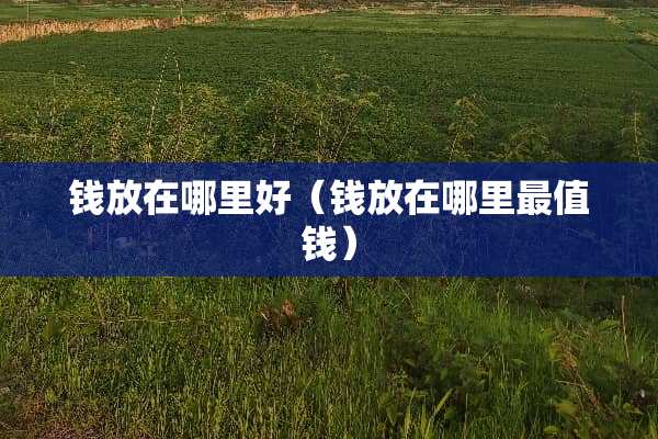 钱放在哪里好(钱放在哪里最值钱) 钱放在哪里好(钱放在哪里最值钱)
