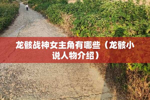龙骸战神女主角有哪些(龙骸小说人物介绍) 龙骸战神女主角有哪些(龙骸小说人物介绍)