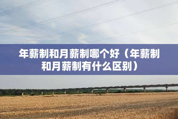 年薪制和月薪制哪个好(年薪制和月薪制有什么区别) 年薪制和月薪制哪个好(年薪制和月薪制有什么区别)