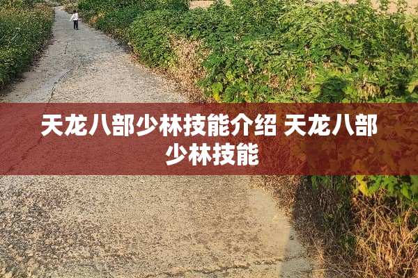 天龙八部少林技能介绍 天龙八部 少林技能 天龙八部少林技能介绍 天龙八部 少林技能