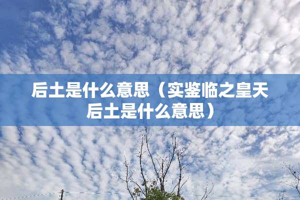 后土是什么意思（实鉴临之皇天后土是什么意思）