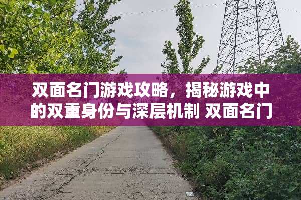 双面名门游戏攻略,揭秘游戏中的双重身份与深层机制 双面名门游戏攻略 双面名门游戏攻略,揭秘游戏中的双重身份与深层机制 双面名门游戏攻略