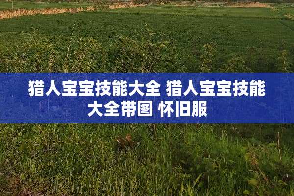 猎人宝宝技能大全 猎人宝宝技能大全带图 怀旧服