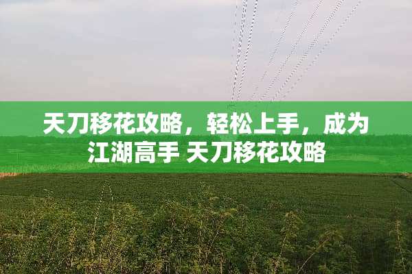 天刀移花攻略,轻松上手,成为江湖高手 天刀移花攻略 天刀移花攻略,轻松上手,成为江湖高手 天刀移花攻略