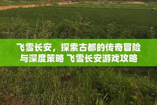飞雪长安，探索古都的传奇冒险与深度策略 飞雪长安游戏攻略