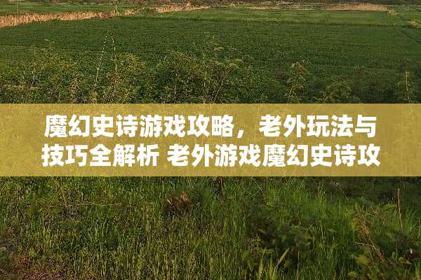 魔幻史诗游戏攻略，老外玩法与技巧全解析 老外游戏魔幻史诗攻略
