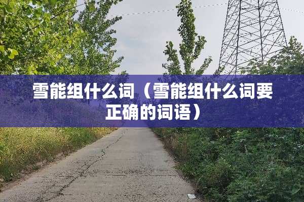 雪能组什么词(雪能组什么词要正确的词语) 雪能组什么词(雪能组什么词要正确的词语)