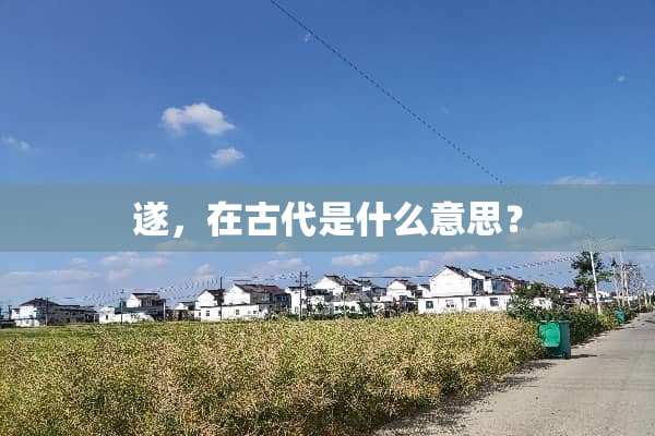 遂，在古代是什么意思？