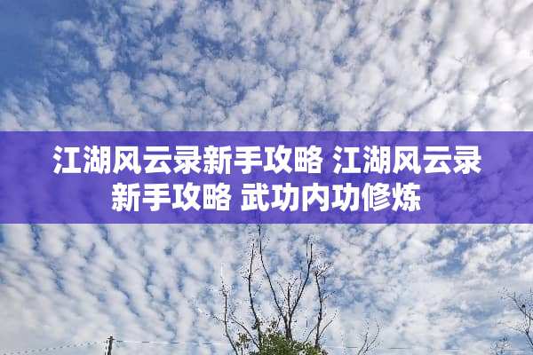 江湖风云录新手攻略 江湖风云录新手攻略 武功内功** 江湖风云录新手攻略 江湖风云录新手攻略 武功内功**