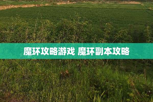 魔环攻略游戏 魔环副本攻略