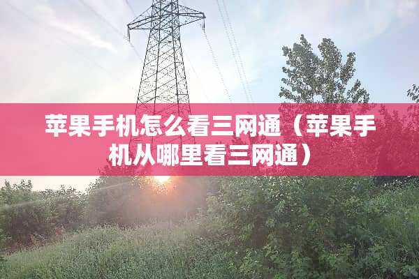 苹果手机怎么看三网通（苹果手机从哪里看三网通）
