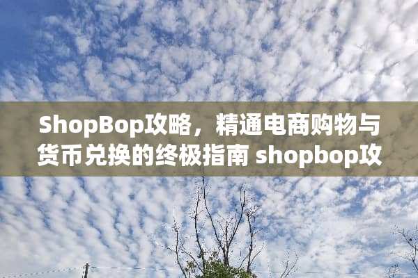 ShopBop攻略,精通电商购物与货币兑换的终极指南 shopbop攻略 ShopBop攻略,精通电商购物与货币兑换的终极指南 shopbop攻略