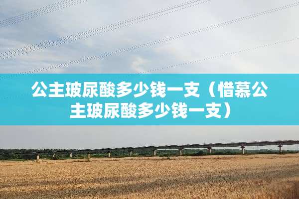 公主玻尿酸多少钱一支（惜慕公主玻尿酸多少钱一支）