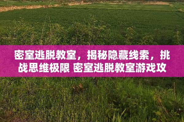 密室逃脱教室,揭秘隐藏线索,挑战思维极限 密室逃脱教室游戏攻略 密室逃脱教室,揭秘隐藏线索,挑战思维极限 密室逃脱教室游戏攻略