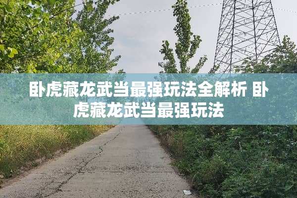 卧虎藏龙武当最强玩法全解析 卧虎藏龙武当最强玩法 卧虎藏龙武当最强玩法全解析 卧虎藏龙武当最强玩法