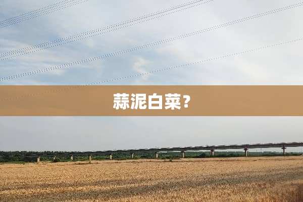 蒜泥白菜？