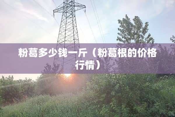 粉葛多少钱一斤(粉葛根的价格行情) 粉葛多少钱一斤(粉葛根的价格行情)