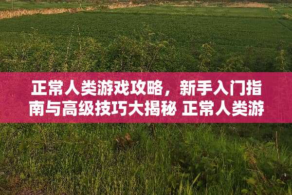 正常人类游戏攻略,新手入门指南与高级技巧大揭秘 正常人类游戏攻略 正常人类游戏攻略,新手入门指南与高级技巧大揭秘 正常人类游戏攻略