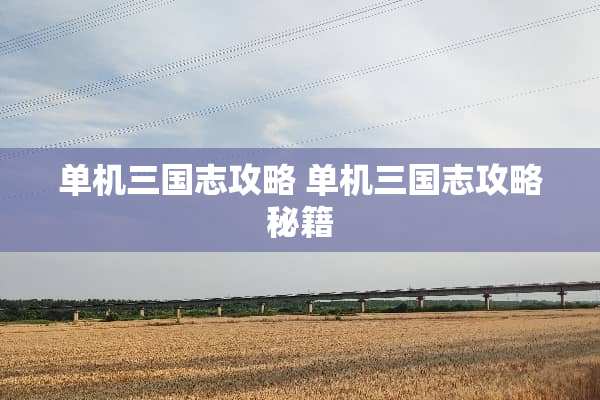 单机三国志攻略 单机三国志攻略秘籍 单机三国志攻略 单机三国志攻略秘籍