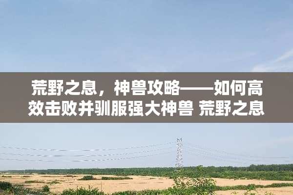 荒野之息,神兽攻略——如何高效击败并驯服强大神兽 荒野之息神兽攻略 荒野之息,神兽攻略——如何高效击败并驯服强大神兽 荒野之息神兽攻略