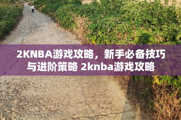 2KNBA游戏攻略,新手必备技巧与进阶策略 2knba游戏攻略 2KNBA游戏攻略,新手必备技巧与进阶策略 2knba游戏攻略