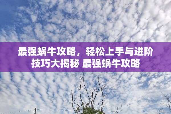 最强蜗牛攻略，轻松上手与进阶技巧大揭秘 最强蜗牛攻略