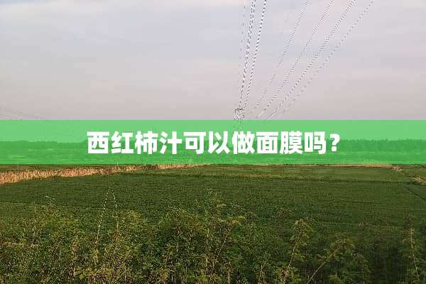 西红柿汁可以做面膜吗？