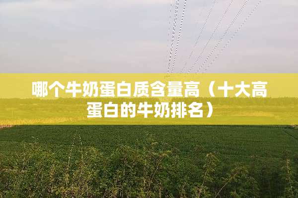 哪个牛奶蛋白质含量高(十大高蛋白的牛奶排名) 哪个牛奶蛋白质含量高(十大高蛋白的牛奶排名)