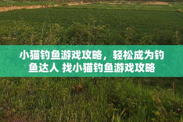小猫钓鱼游戏攻略,轻松成为钓鱼达人 找小猫钓鱼游戏攻略 小猫钓鱼游戏攻略,轻松成为钓鱼达人 找小猫钓鱼游戏攻略