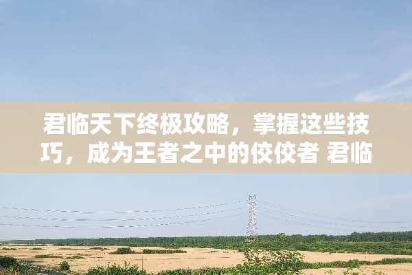 君临天下终极攻略,掌握这些技巧,成为王者之中的佼佼者 君临天下攻略 君临天下终极攻略,掌握这些技巧,成为王者之中的佼佼者 君临天下攻略