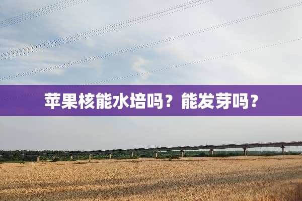 苹果核能水培吗？能发芽吗？