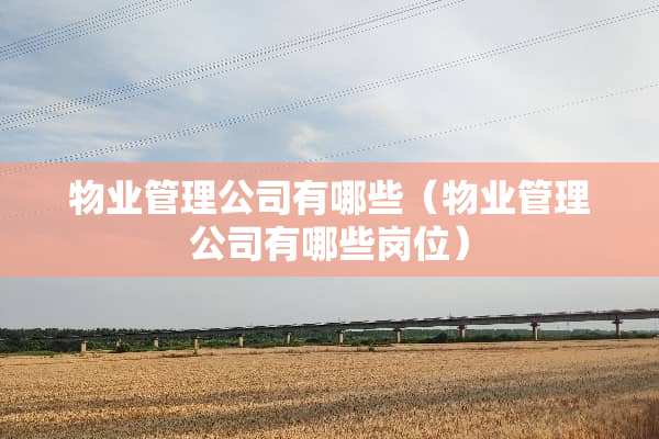 物业管理公司有哪些（物业管理公司有哪些岗位）