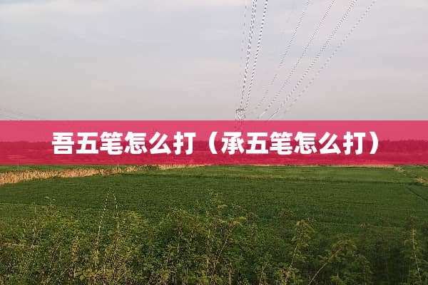 吾五笔怎么打(承五笔怎么打) 吾五笔怎么打(承五笔怎么打)