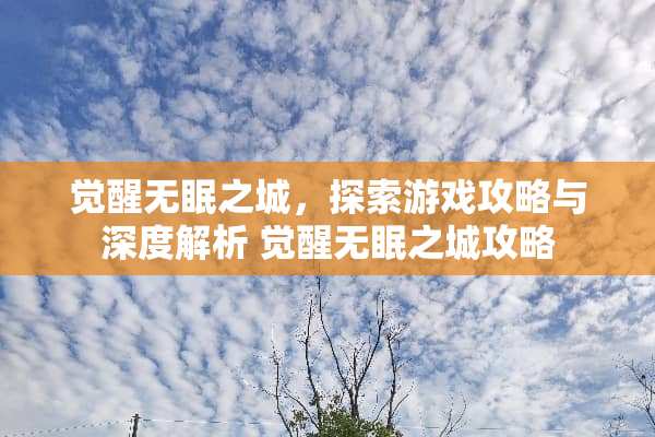 觉醒无眠之城,探索游戏攻略与深度解析 觉醒无眠之城攻略 觉醒无眠之城,探索游戏攻略与深度解析 觉醒无眠之城攻略