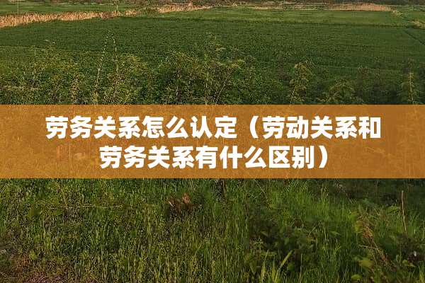 劳务关系怎么认定(劳动关系和劳务关系有什么区别) 劳务关系怎么认定(劳动关系和劳务关系有什么区别)