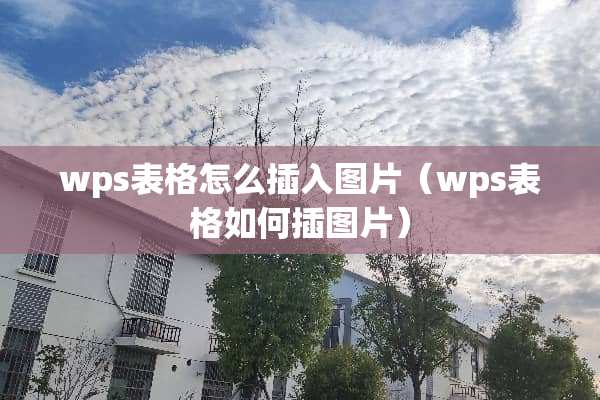 wps表格怎么插入图片（wps表格如何插图片）