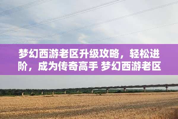 梦幻西游老区升级攻略,轻松进阶,成为传奇高手 梦幻西游老区升级攻略 梦幻西游老区升级攻略,轻松进阶,成为传奇高手 梦幻西游老区升级攻略