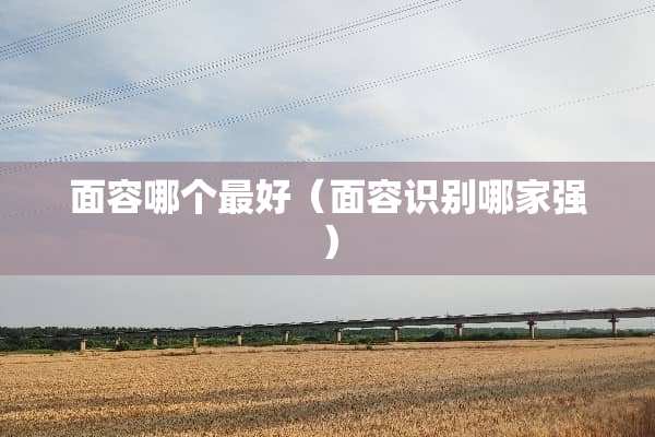 面容哪个最好(面容识别哪家强) 面容哪个最好(面容识别哪家强)