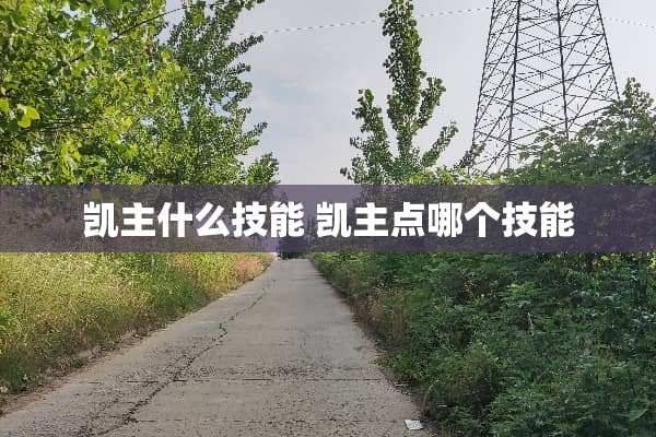 凯主什么技能 凯主点哪个技能 凯主什么技能 凯主点哪个技能