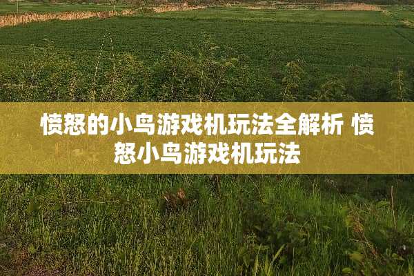 愤怒的小鸟游戏机玩法全解析 愤怒小鸟游戏机玩法