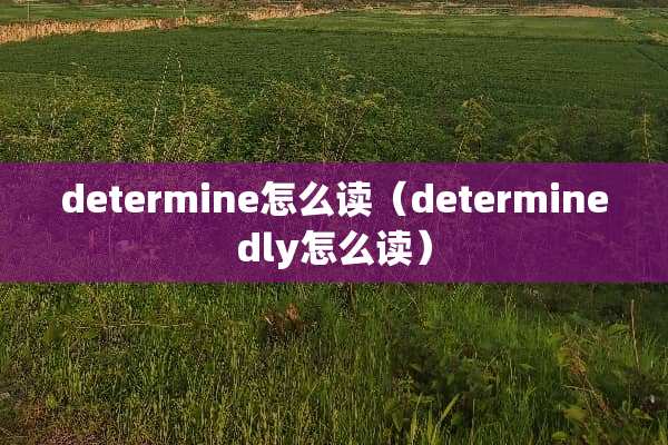 determine怎么读(determinedly怎么读) determine怎么读(determinedly怎么读)